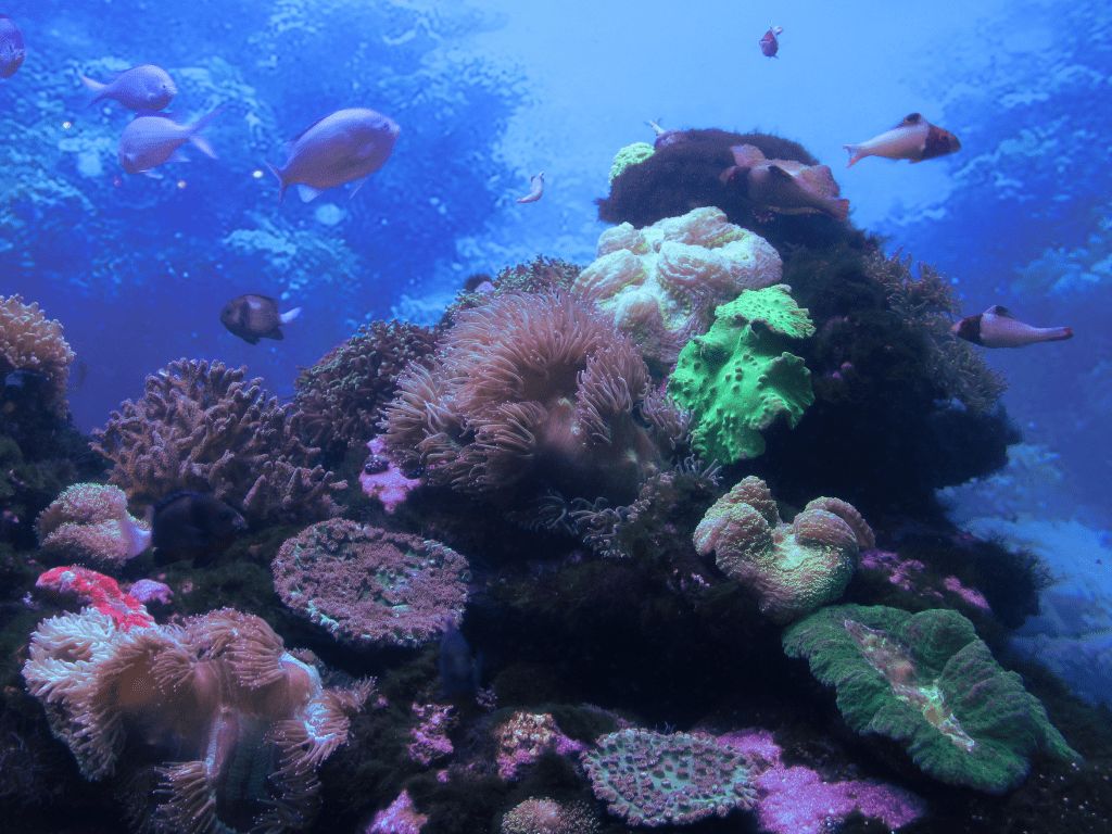 How Does an Oil Spill Affect the Fishing Industry? A Comprehensive Guide