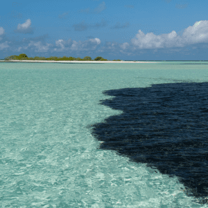 Healing Waters: Powerful Long-Term Strategies for Oil Spill Cleanup and Environmental Recovery