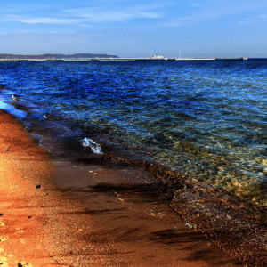 The Role of Dispersants in Oil Spill Clean-Up Efforts