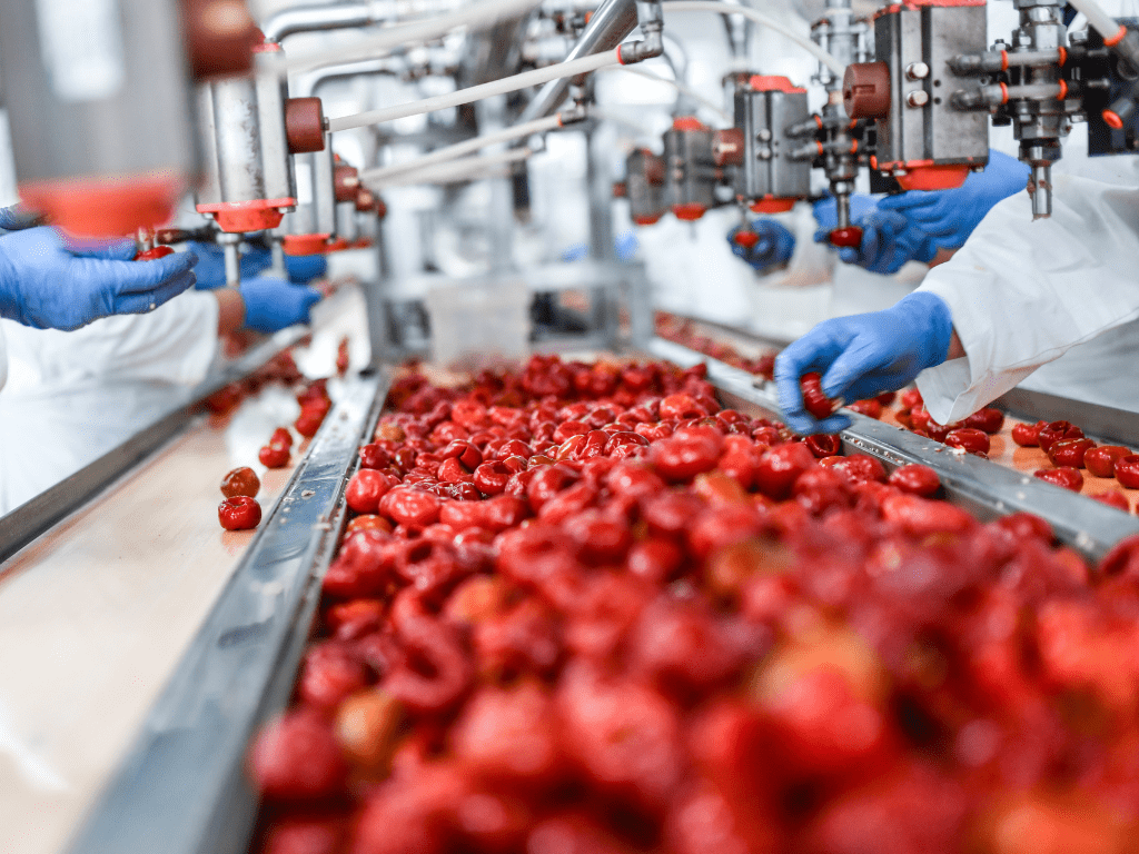 How Food Processing Plants Can Maintain Hygiene with Non-Toxic Cleaners