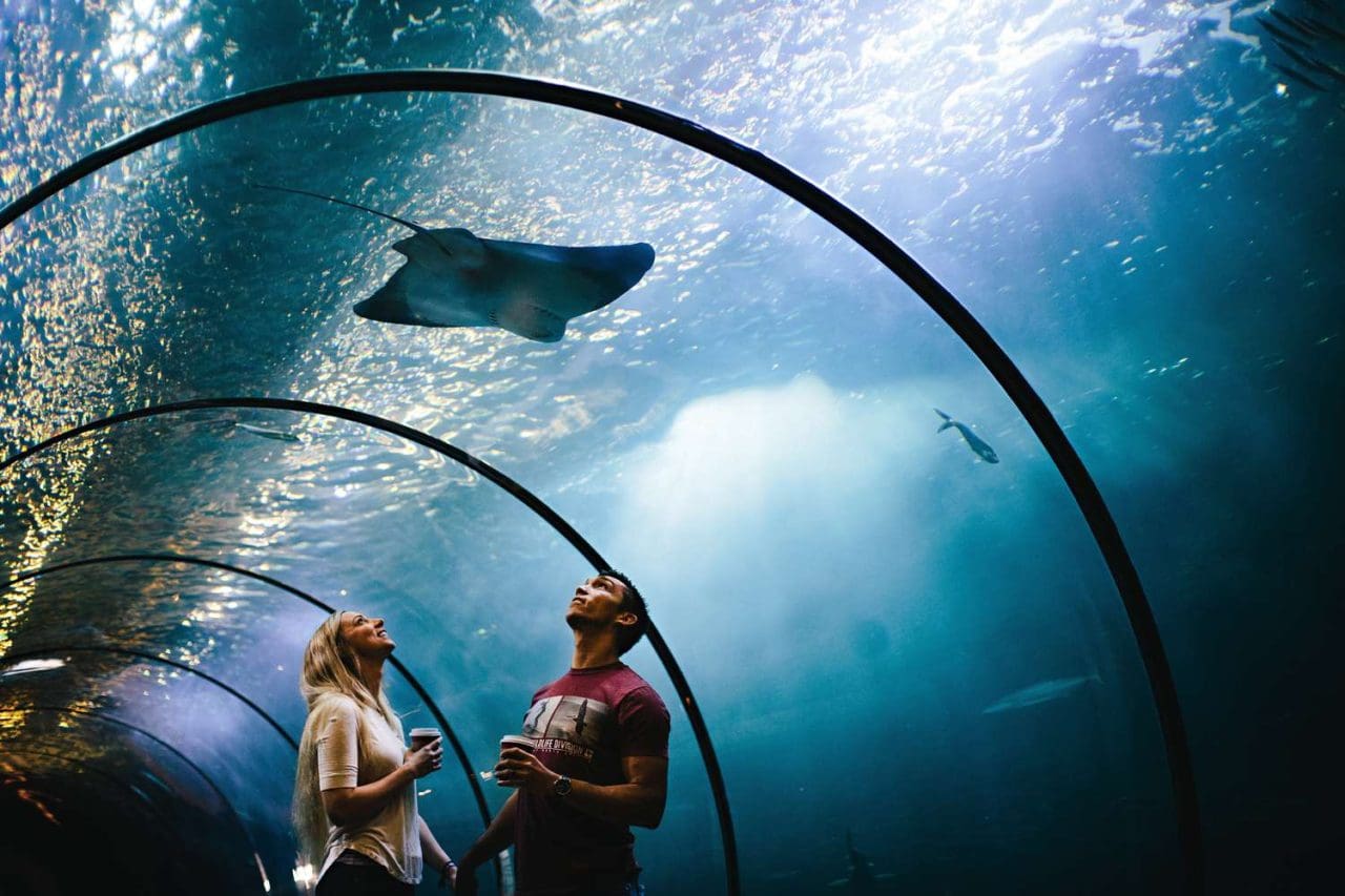 Marine Tank Filtration: Ensuring Optimal Performance and Longevity